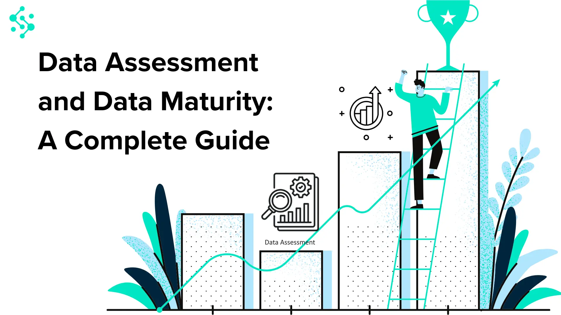 Data Assessment And Data Maturity: A Complete Guide | Synapx